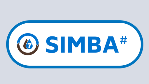 SIMBA# 7 Logo
